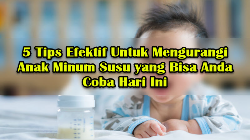 5 Tips Efektif Untuk Mengurangi Anak Minum Susu yang Bisa Anda Coba Hari Ini 5 Tips Efektif Untuk Mengurangi Anak Minum Susu yang Bisa Anda Coba Hari Ini