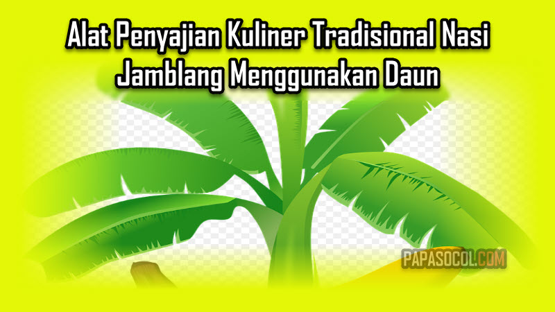 Alat Penyajian Kuliner Tradisional Nasi Jamblang Menggunakan Daun Alat Penyajian Kuliner Tradisional Nasi Jamblang Menggunakan Daun