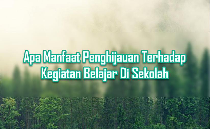 Apa Manfaat Penghijauan Terhadap Kegiatan Belajar Di Sekolah Apa Manfaat Penghijauan Terhadap Kegiatan Belajar Di Sekolah