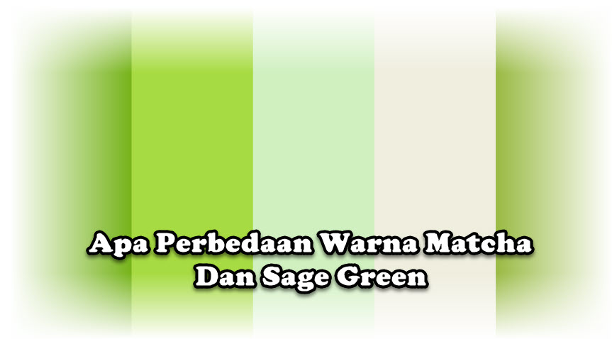 Apa Perbedaan Warna Matcha Dan Sage Green Apa Perbedaan Warna Matcha Dan Sage Green