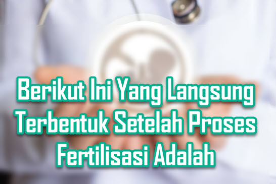 Berikut Ini Yang Langsung Terbentuk Setelah Proses Fertilisasi Adalah Berikut Ini Yang Langsung Terbentuk Setelah Proses Fertilisasi Adalah