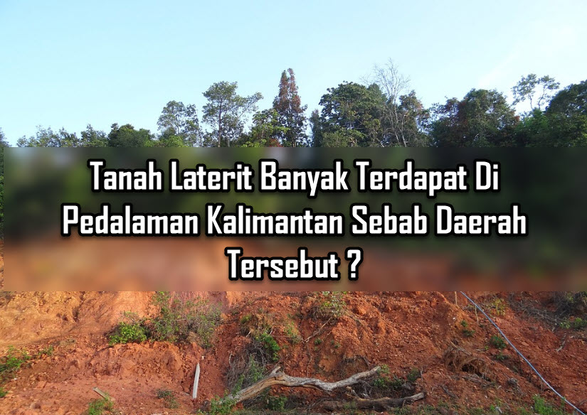 Tanah Laterit Banyak Terdapat Di Pedalaman Kalimantan Sebab Daerah Tersebut Tanah Laterit Banyak Terdapat Di Pedalaman Kalimantan Sebab Daerah Tersebut